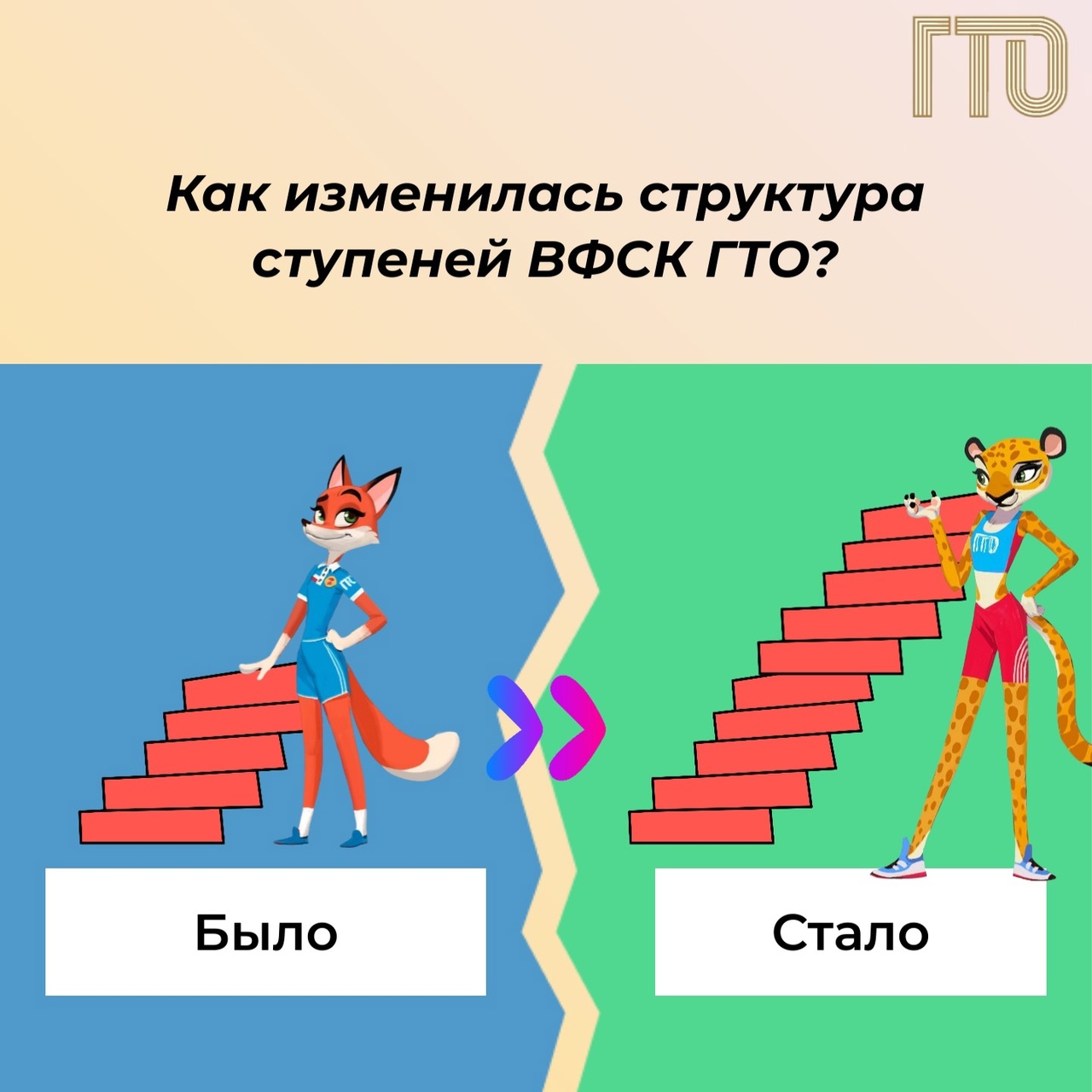 Новая структура возрастных ступеней ВФСК ГТО.